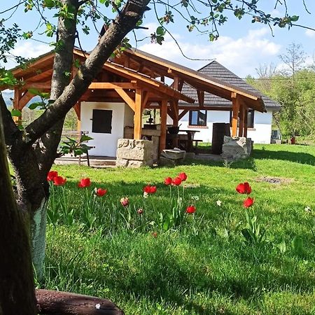 Casa Livada Bunicii Vila Tîrgu Ocna Exterior foto