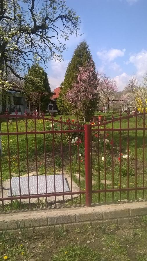 Casa Livada Bunicii Vila Tîrgu Ocna Exterior foto
