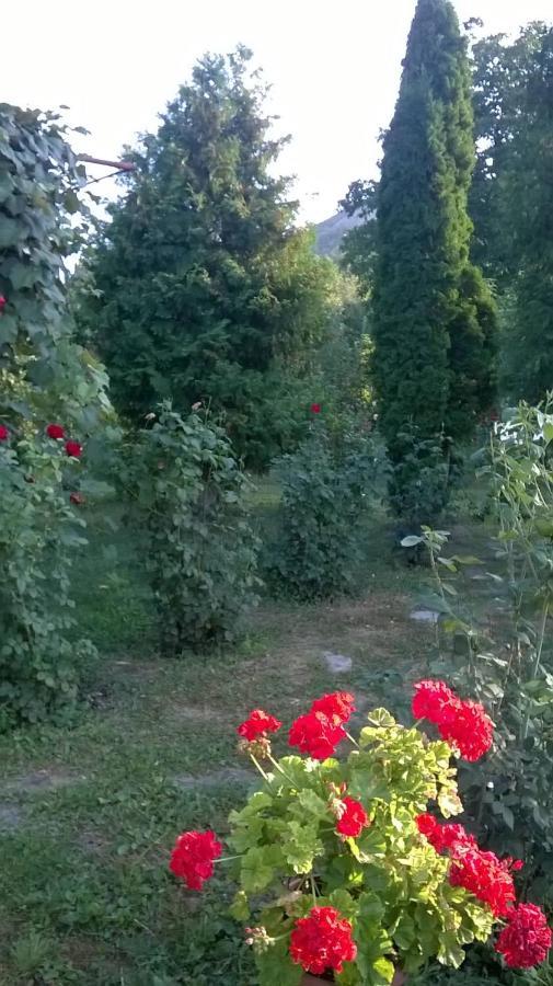Casa Livada Bunicii Vila Tîrgu Ocna Exterior foto