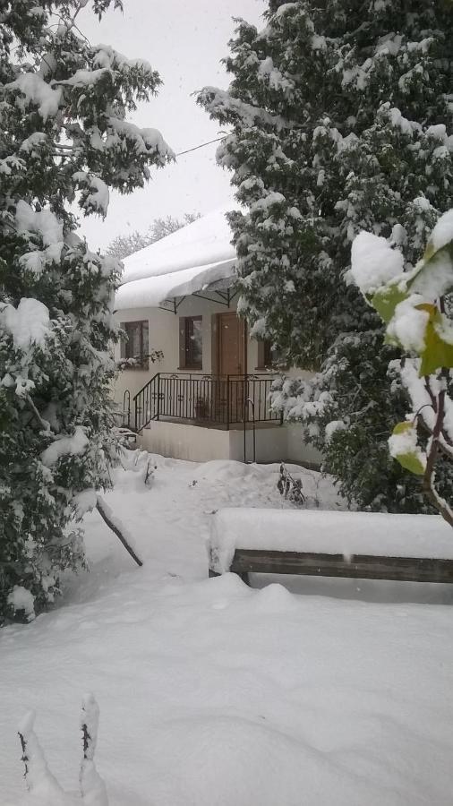 Casa Livada Bunicii Vila Tîrgu Ocna Exterior foto