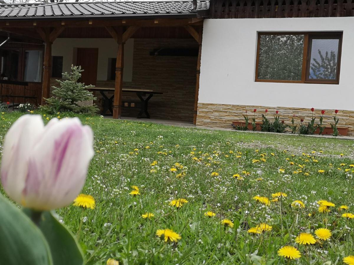 Casa Livada Bunicii Vila Tîrgu Ocna Exterior foto
