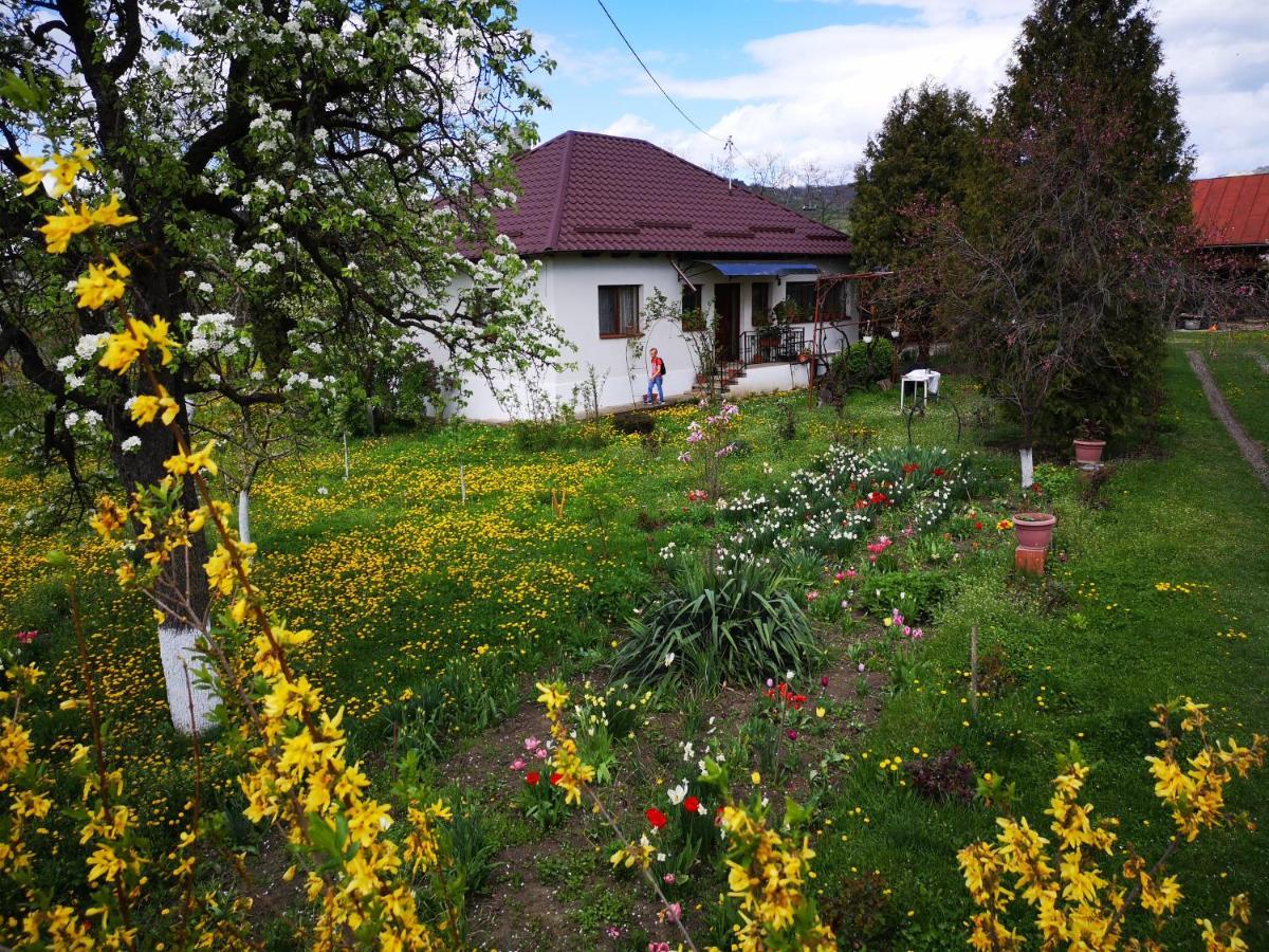 Casa Livada Bunicii Vila Tîrgu Ocna Exterior foto