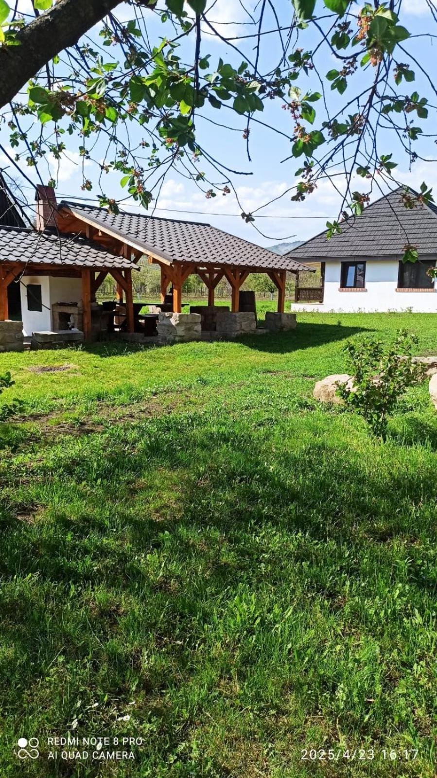 Casa Livada Bunicii Vila Tîrgu Ocna Exterior foto