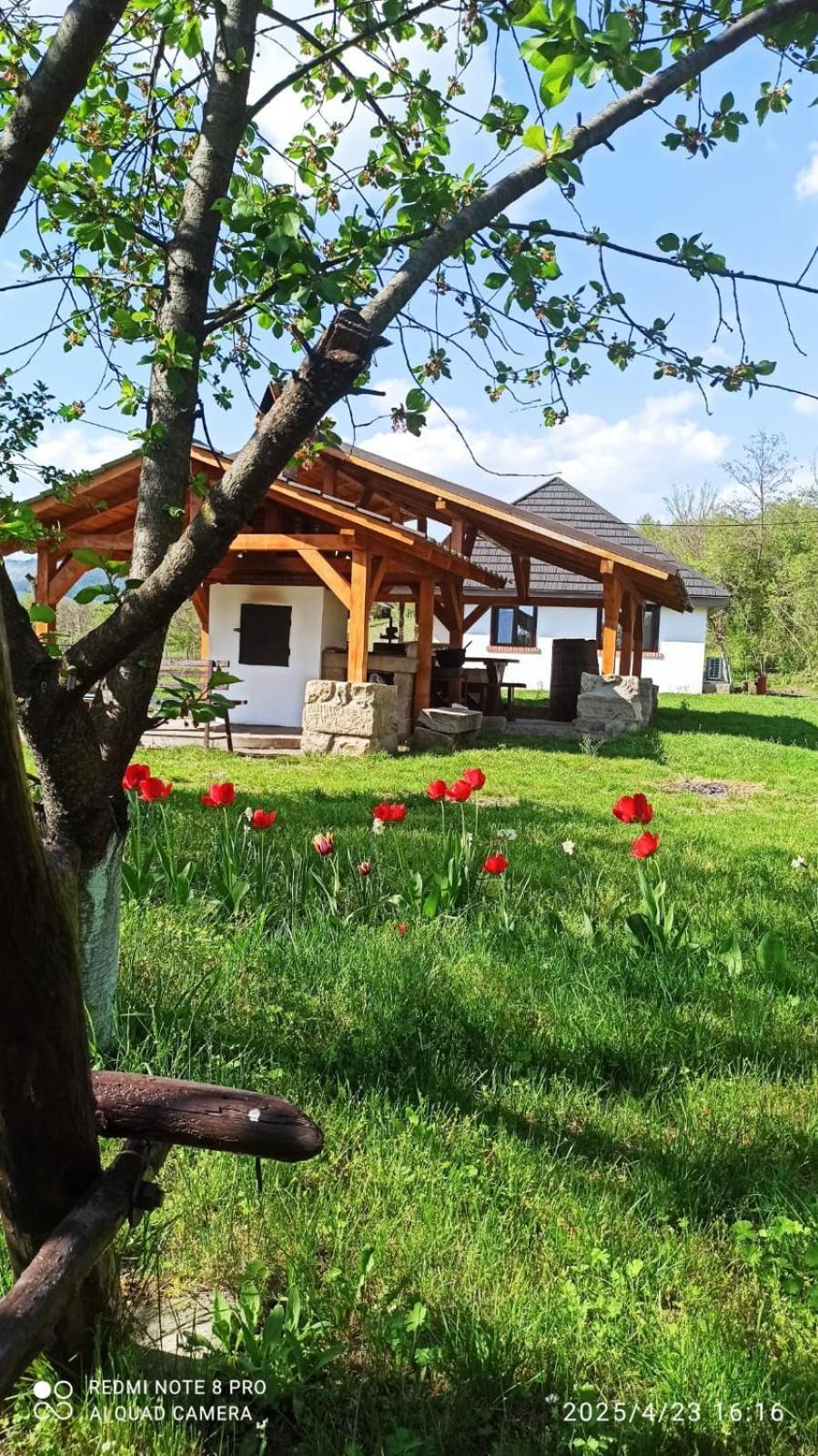 Casa Livada Bunicii Vila Tîrgu Ocna Exterior foto