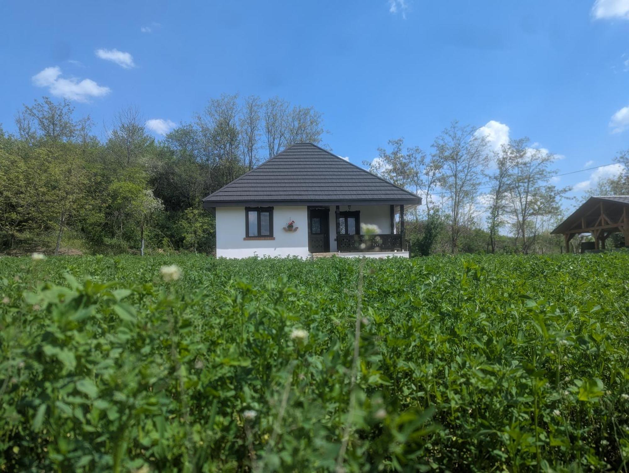 Casa Livada Bunicii Vila Tîrgu Ocna Quarto foto